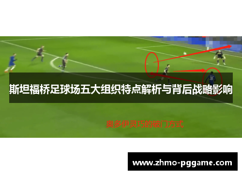 斯坦福桥足球场五大组织特点解析与背后战略影响