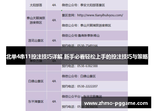 北单4串11投注技巧详解 新手必看轻松上手的投注技巧与策略