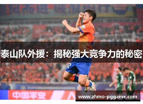 泰山队外援：揭秘强大竞争力的秘密