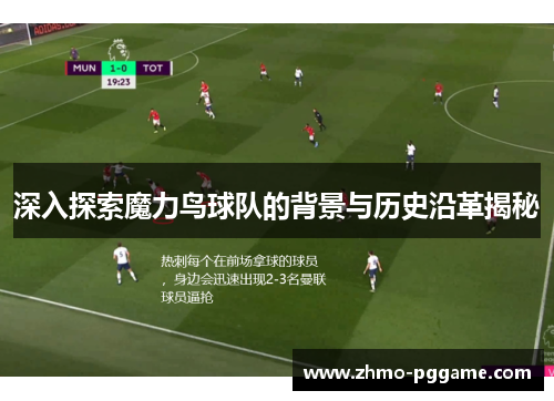 深入探索魔力鸟球队的背景与历史沿革揭秘