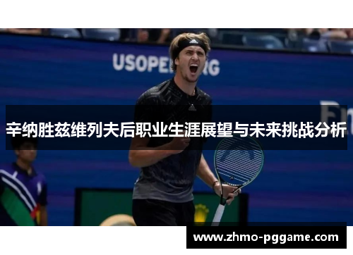 辛纳胜兹维列夫后职业生涯展望与未来挑战分析 辛纳胜兹维列夫后职业生涯展望与未来挑战分析