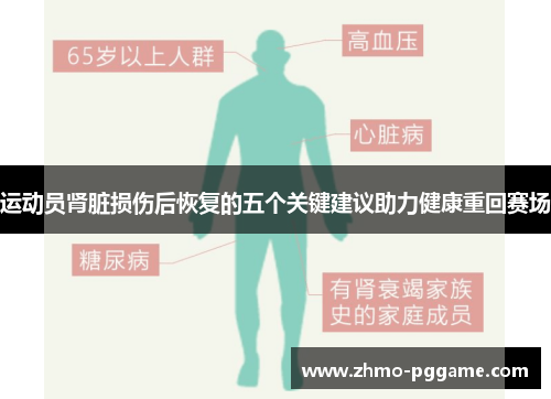 运动员肾脏损伤后恢复的五个关键建议助力健康重回赛场 运动员肾脏损伤后恢复的五个关键建议助力健康重回赛场