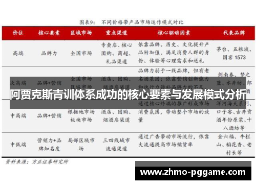 阿贾克斯青训体系成功的核心要素与发展模式分析 阿贾克斯青训体系成功的核心要素与发展模式分析