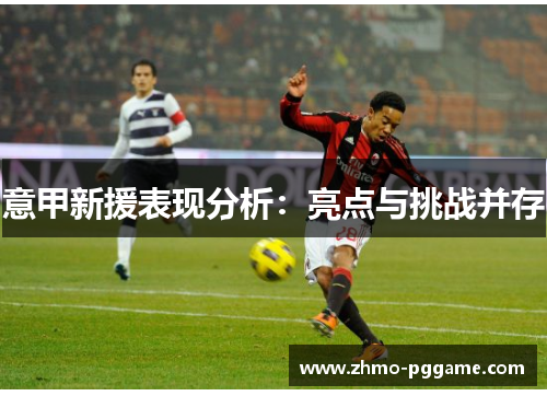 意甲新援表现分析：亮点与挑战并存