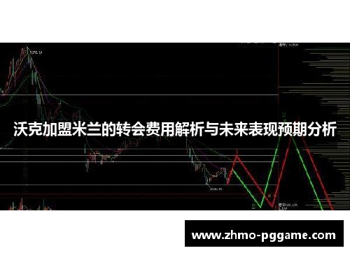 沃克加盟米兰的转会费用解析与未来表现预期分析
