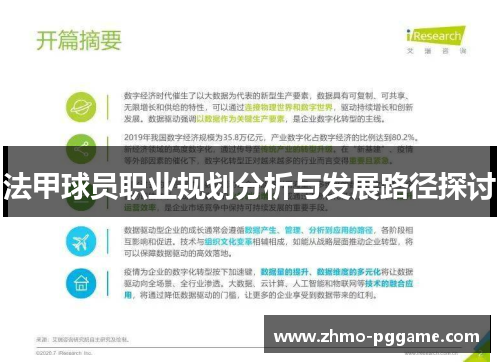 法甲球员职业规划分析与发展路径探讨