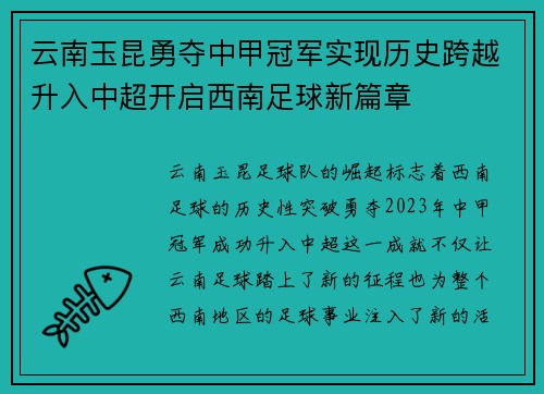 云南玉昆勇夺中甲冠军实现历史跨越升入中超开启西南足球新篇章