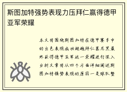 斯图加特强势表现力压拜仁赢得德甲亚军荣耀