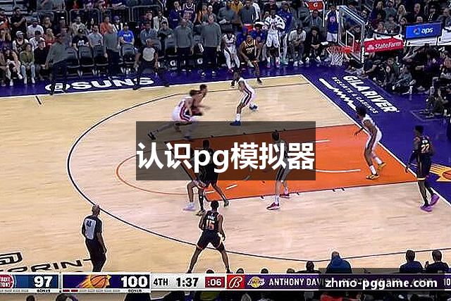 认识pg模拟器
